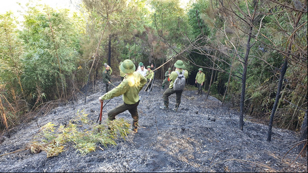 Kiểm tra hiện trường vụ cháy trên địa bàn huyện Bạch Thông